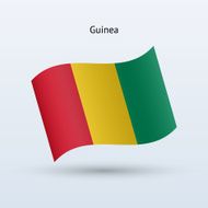 Guinea flag N14