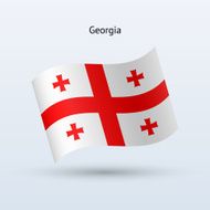 Georgia Flag N21
