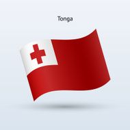 Tonga flag N8