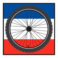 Bicycle Wheel