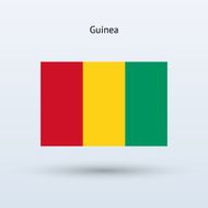 Guinea flag N16