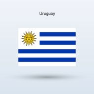 Uruguay Flag N19