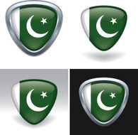 Pakistani Flag Crest