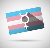 Transgender flag N5