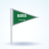 Flag of Saudi Arabia vector illustration N10