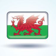 Flag of Wales vector illustration N10
