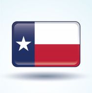Flag of Texas vector illustration N8