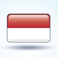 Flag of Indonesia vector illustration N10