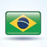 Flag of Brazil vector illustration N5