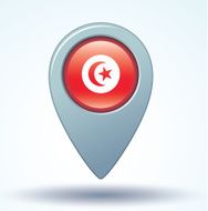 Flag of Tunisia vector illustration N11
