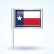 Flag of Texas vector illustration N10