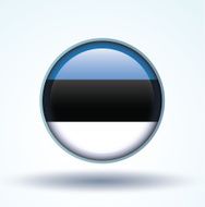 Flag of Estonia vector illustration N11