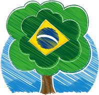 Brazilian tree