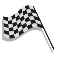 checkered flag racing N13