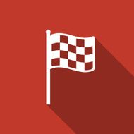 Racing Flag Icon N17