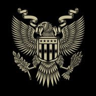 American Eagle Emblem N2