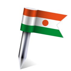 Vector Niger flag isolated on white Eps10