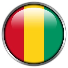 Guinea Flag glossy button