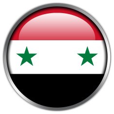 Syria Flag Glossy Button N3