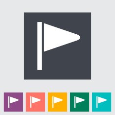 Flag flat single icon N16