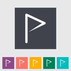 Flag flat single icon N17