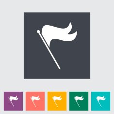 Flag single flat icon N4
