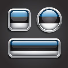 Estonia flag glass buttons