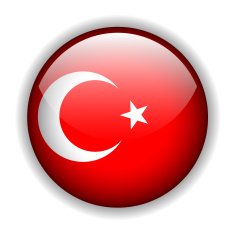 Turkey flag button vector