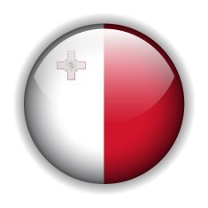 Flag of Malta button vector
