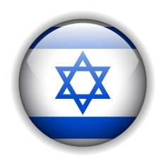 Israel flag button vector