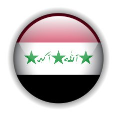 Iraq flag button vector