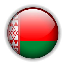 Flag of Belarus button vector