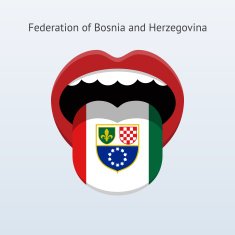 Federation of Bosnia and Herzegovina language N2