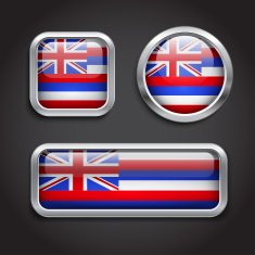 Hawaii flag glass buttons
