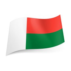 State flag of Madagascar