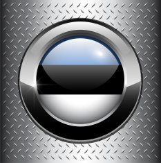 Estonia flag button N3