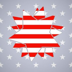 The abstract star with american flag N2