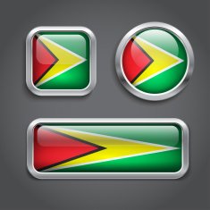 Guyana flag glass buttons