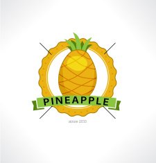 The Pineapple icon Template for style