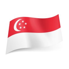 State flag of Singapore