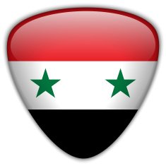 Syria Flag Glossy Button N6