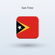 East Timor flag icon N2