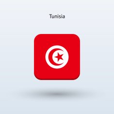 Tunisia Flag icon N6