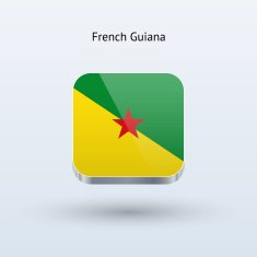 French Guiana Flag Icon N2