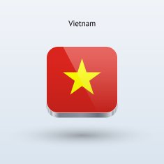 Vietnam Flag Icon N5