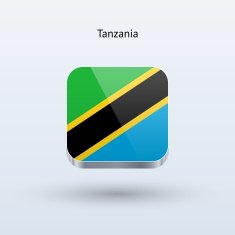 Tanzania flag icon N3
