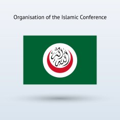 Organisation of the Islamic Conference Flag N3