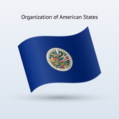 Organization Of American States Flag N3