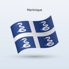 Martinique Flag N2