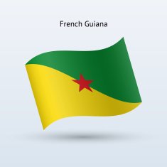 French Guiana Flag N4